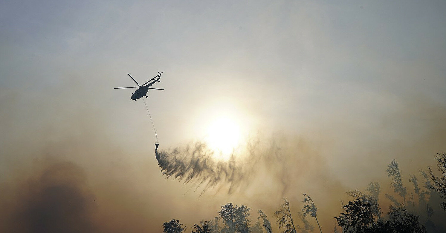 ДСНС: на Закарпатті спалахнула масштабна лісова пожежа