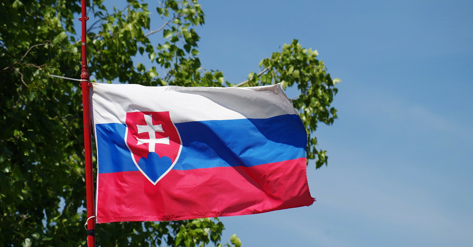 У Словаччині визначили дату дострокових виборів