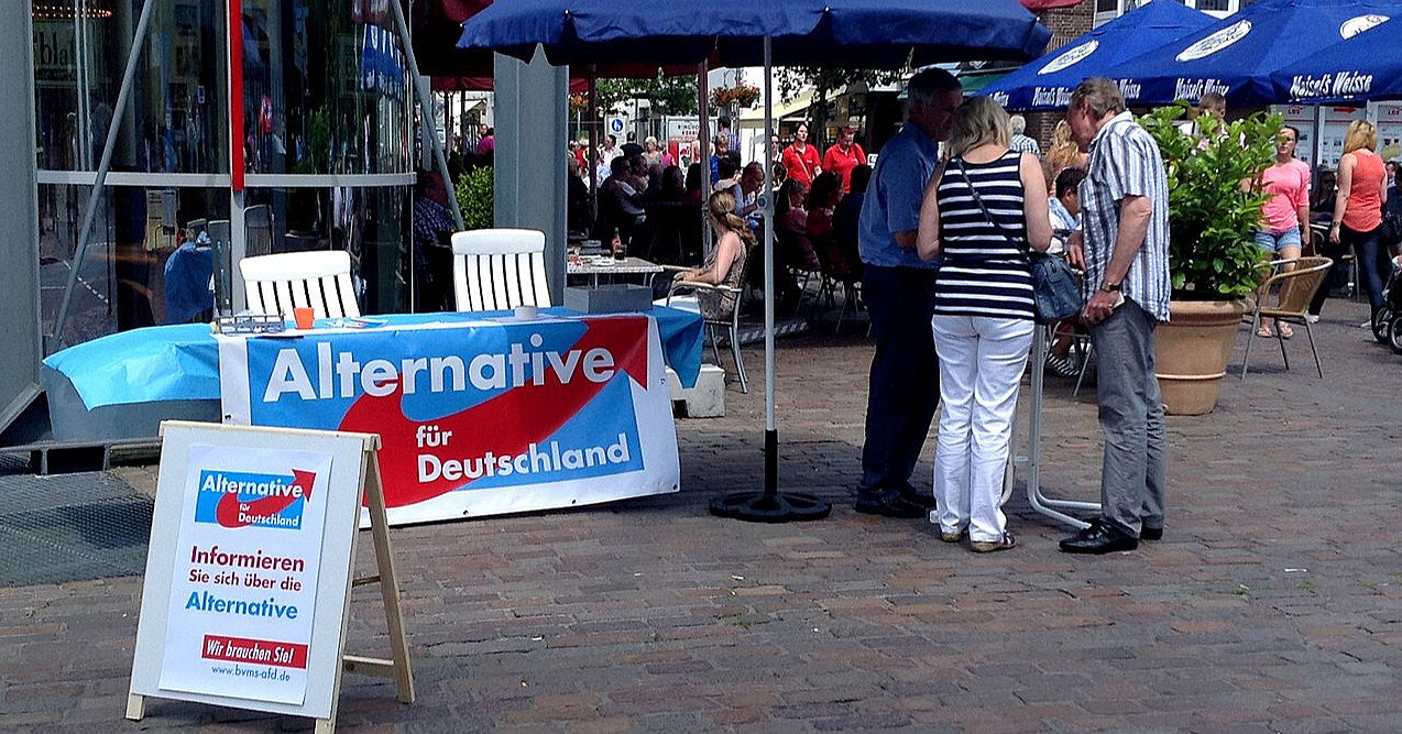 Рейтинг "Альтернативы для Германии" самый низкий за 11 месяцев