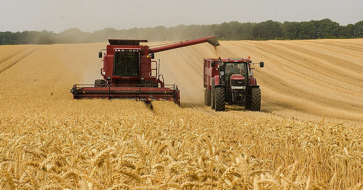 Міністри ЄС погодили високі тарифи на поставку зерна з РФ та Білорусі