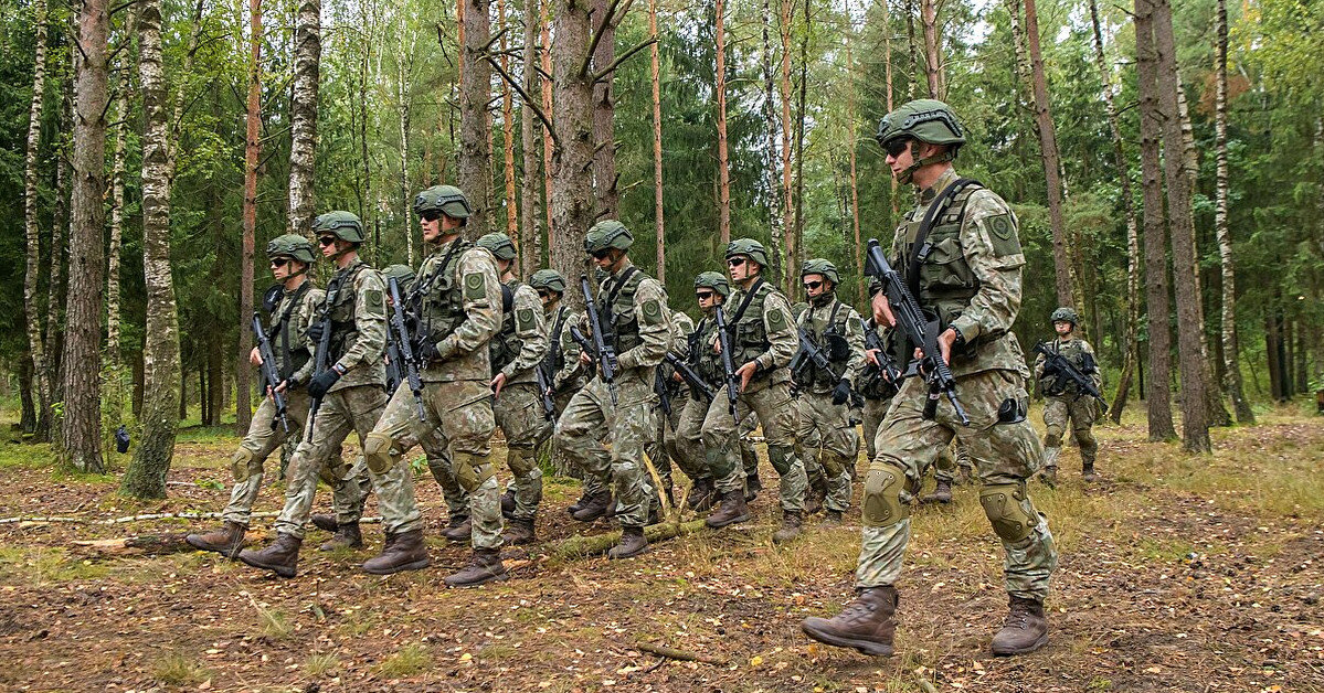 У Литві відновили обов'язкову військову службу для юнаків