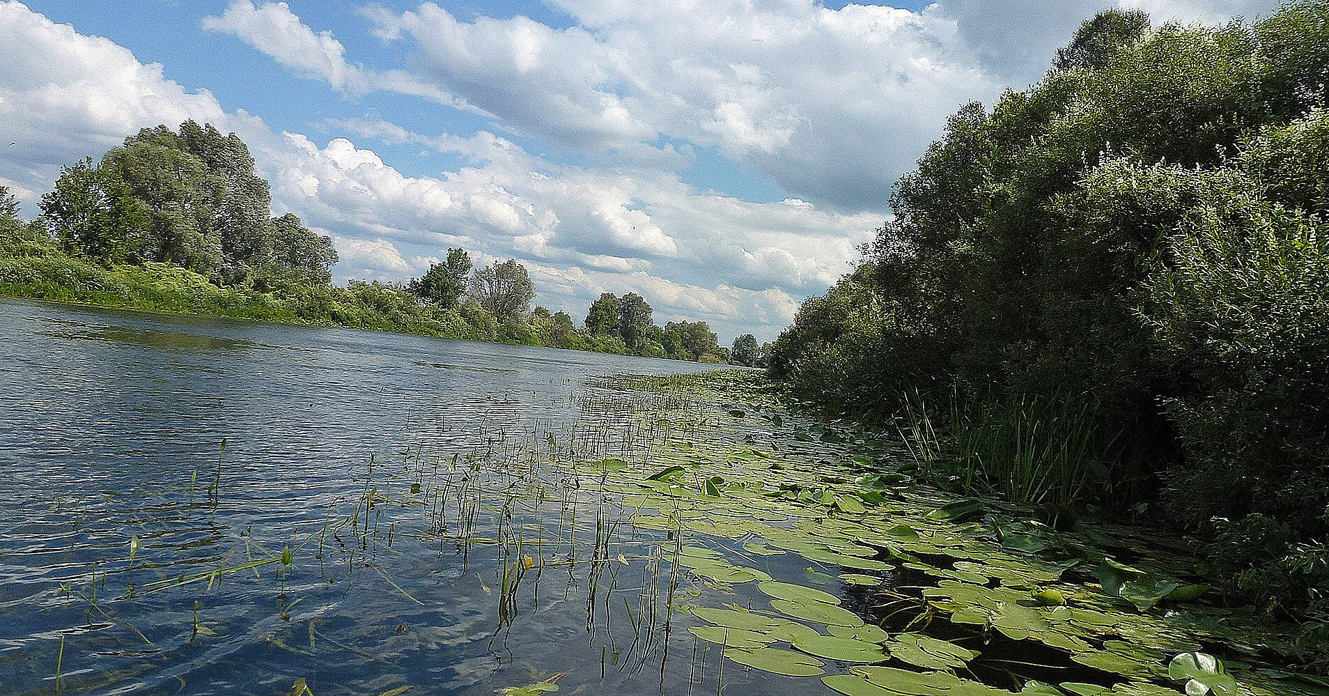 У міністерстві прокоментували ситуацію з якістю води у річках Сейм та Десна