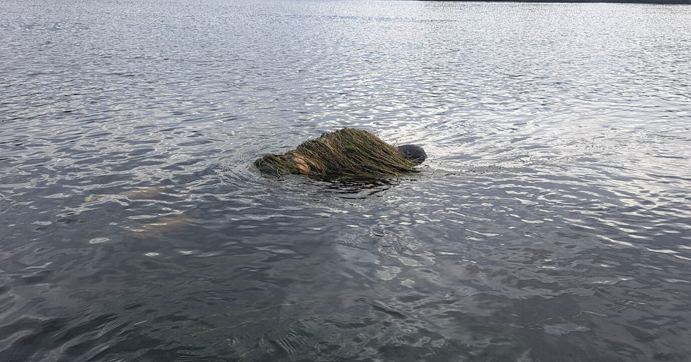 Пограничники нашли в водах Днестра тело утопленника