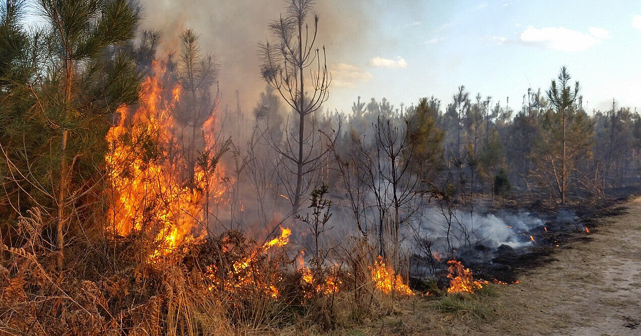 На окупованій частині Луганщини згоріло ціле село – ОВА