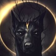 nightarcher